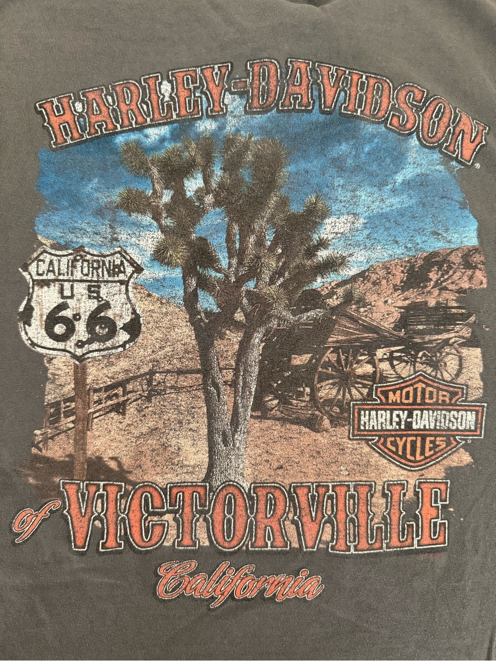 Harley Davidson Gray Tee